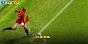 Cược Rung