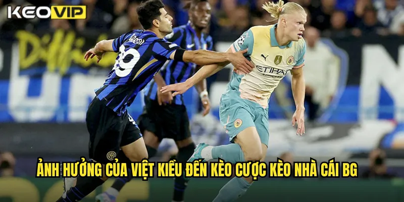 Ảnh hưởng của việt kiều đến kèo cược kèo nhà cái bg
