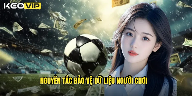 Chính Sách Bảo Mật Kèo Nhà Cái BG - An Toàn Tuyệt Đối Thông Tin Cược 1 Nguyên tắc bảo vệ dữ liệu người chơi