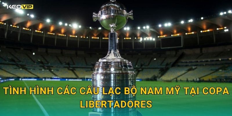Tình Hình Các Câu Lạc Bộ Nam Mỹ Tại Copa Libertadores