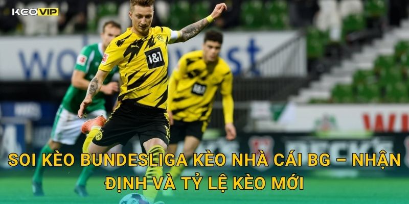 Bundesliga Vòng Mới Kịch Tính – Kèo Nhà Cái BG Soi Kèo Chính Xác Trước Trận 2 Soi Kèo Bundesliga Kèo Nhà Cái BG – Nhận Định Và Tỷ Lệ Kèo Mới